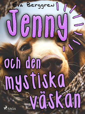 cover image of Jenny och den mystiska väskan